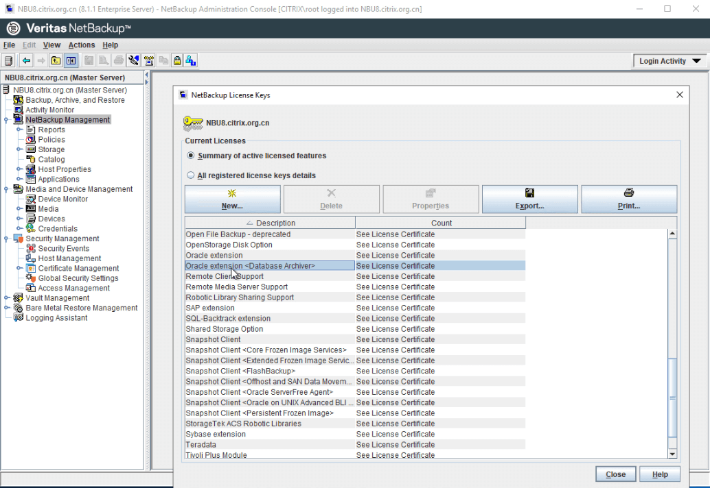  windows server 2019 veritas netbackup 8 1 
